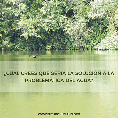 Naturaleza, vida, planeta, futuro humano, cambio climático