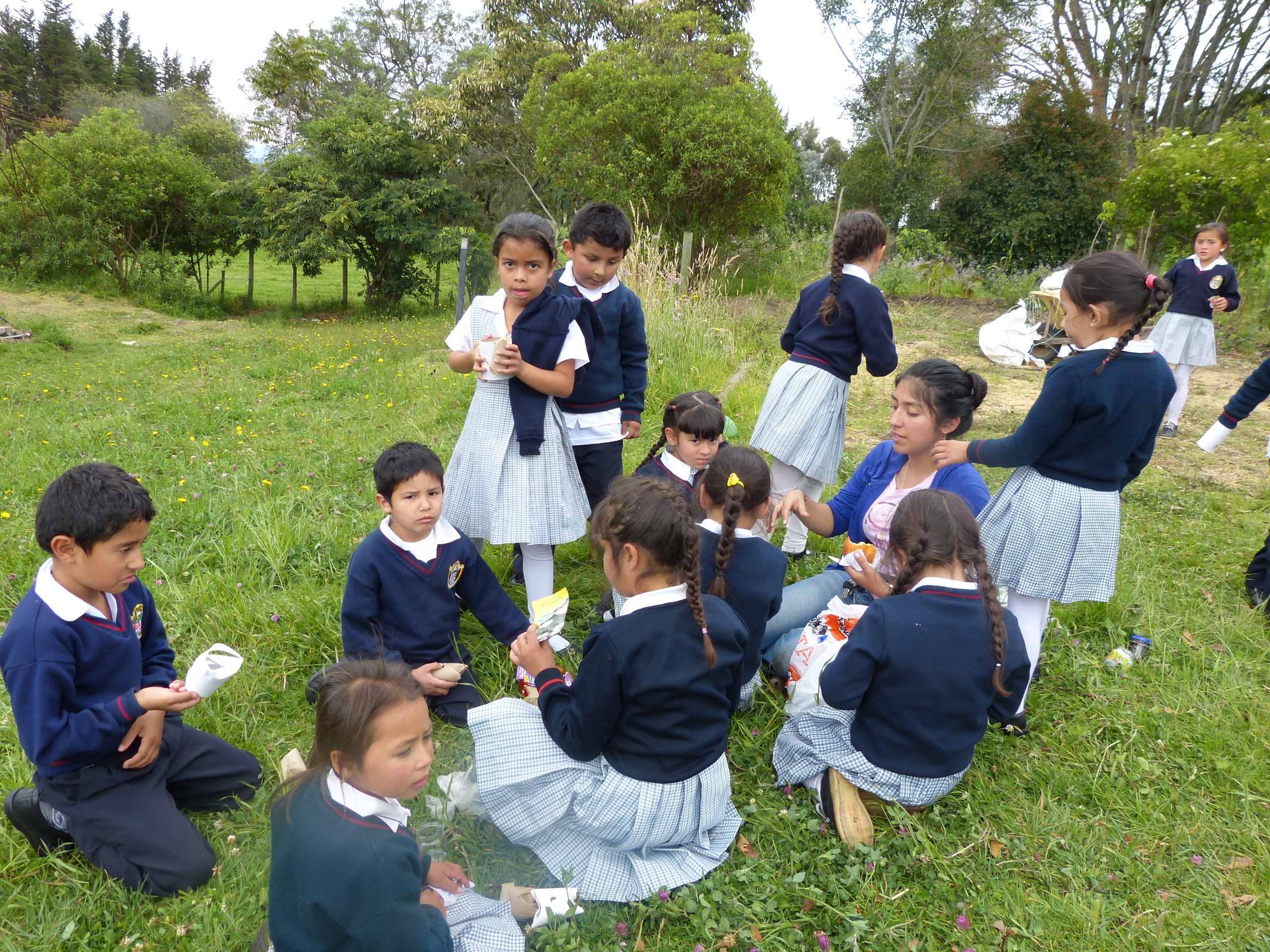 Fundación, naturaleza, vida, ambiente, luz, crisis, planeta, cambio climático, temas ambientales