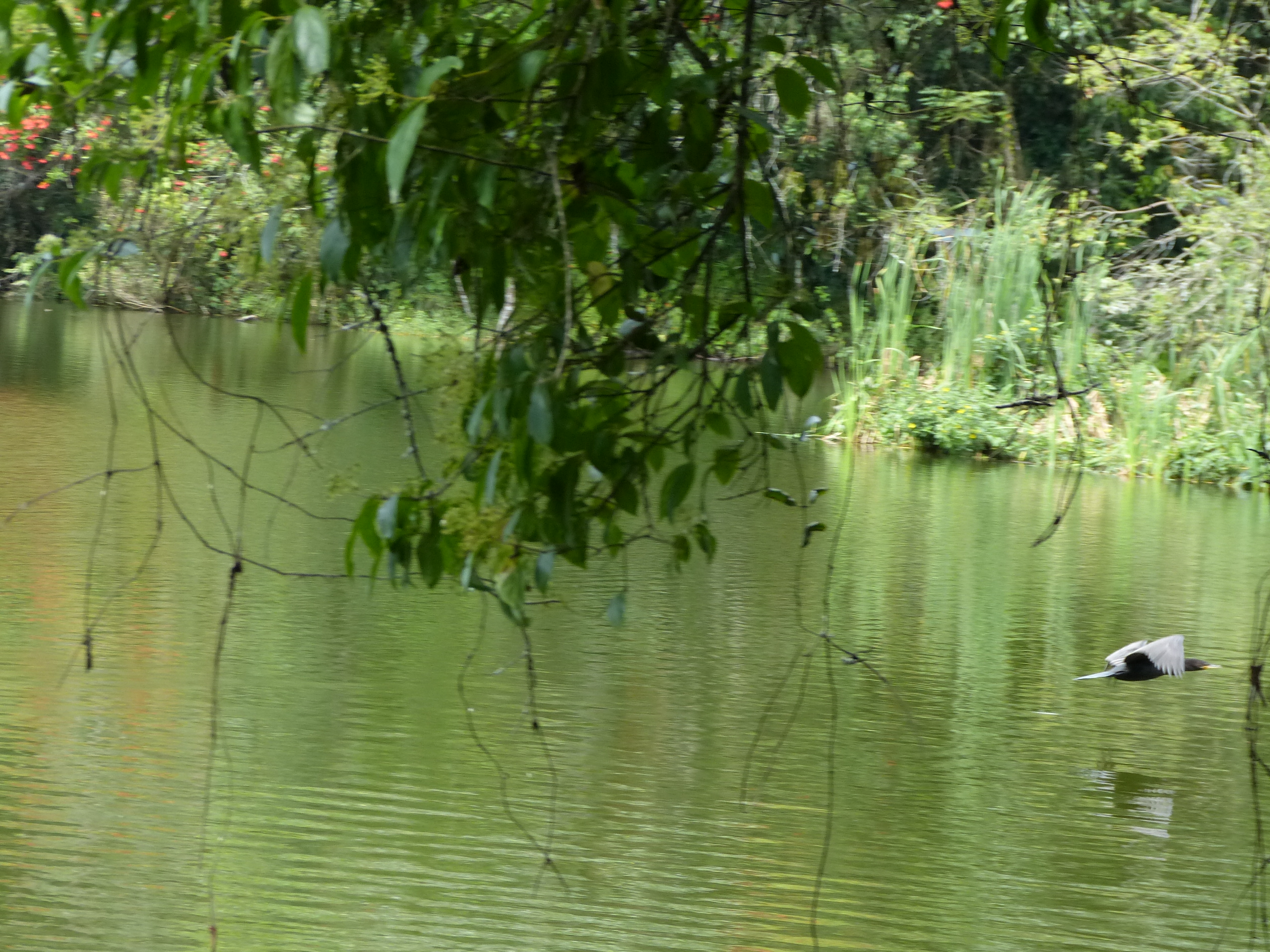 Naturaleza, vida, planeta, futuro humano, cambio climático, tierra