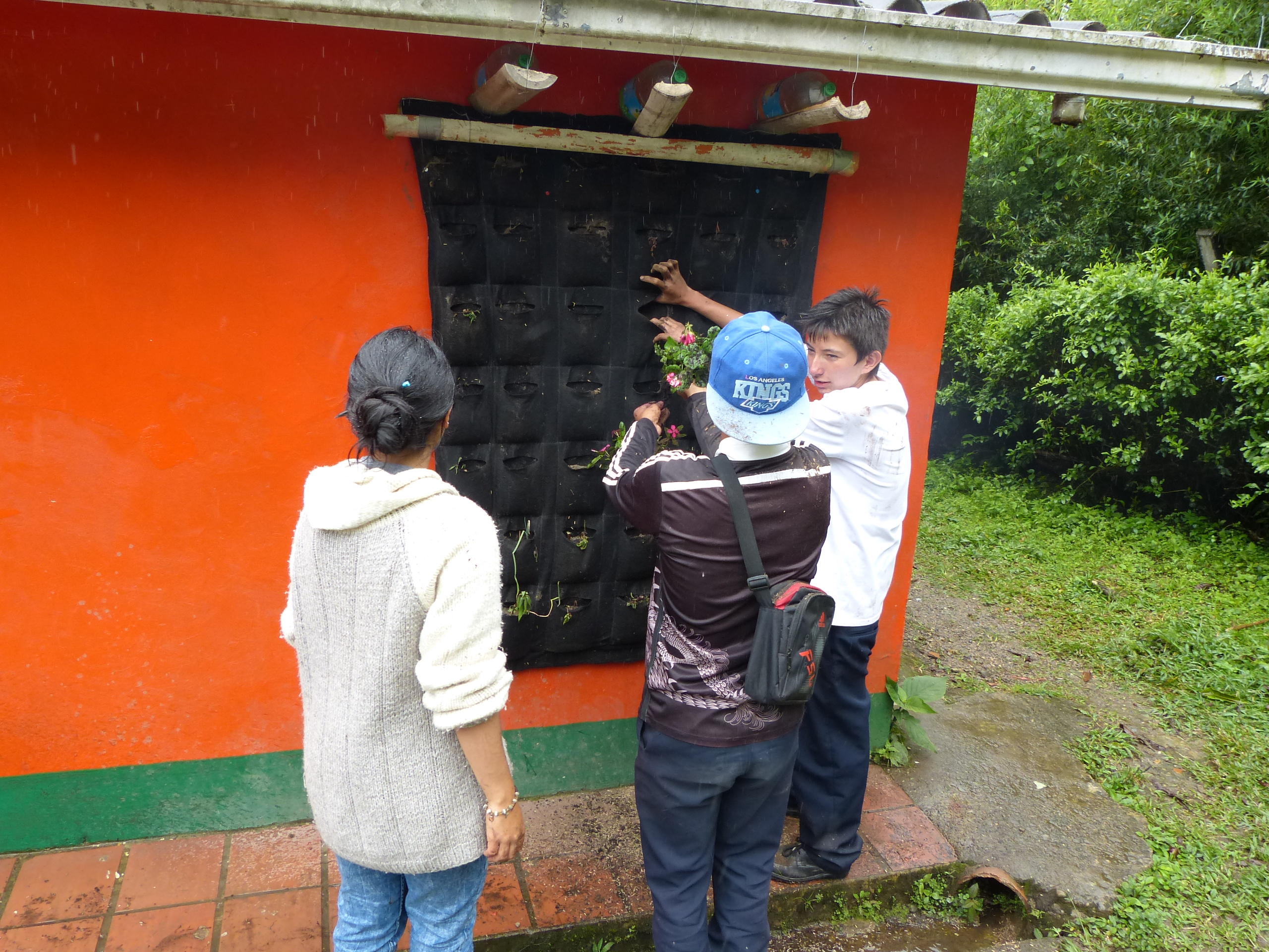 Ecología, ambiente, talleres, naturaleza, trabajo, Luz, Crisis