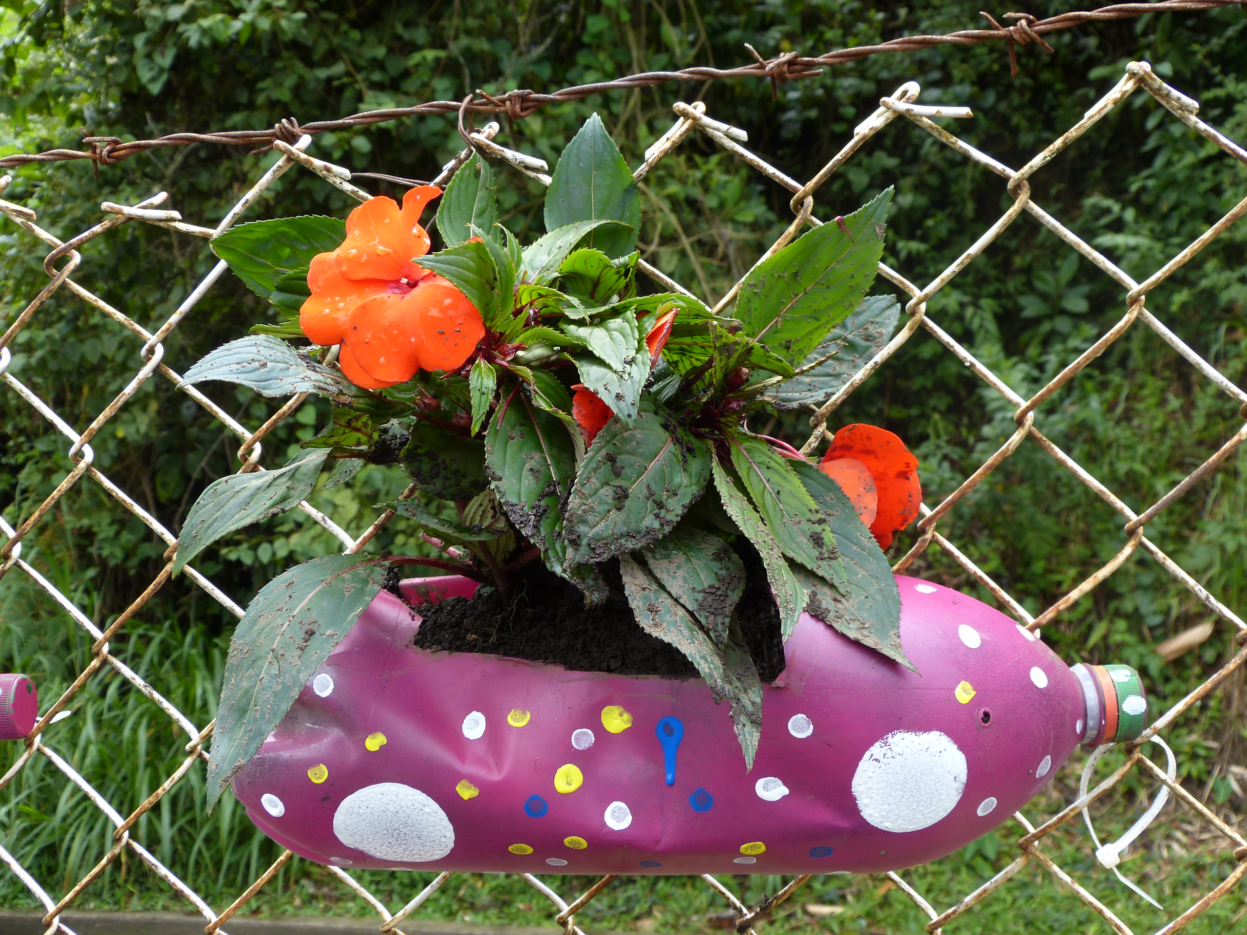 Naturaleza, vida, planeta, futuro humano, cambio climático, tierra