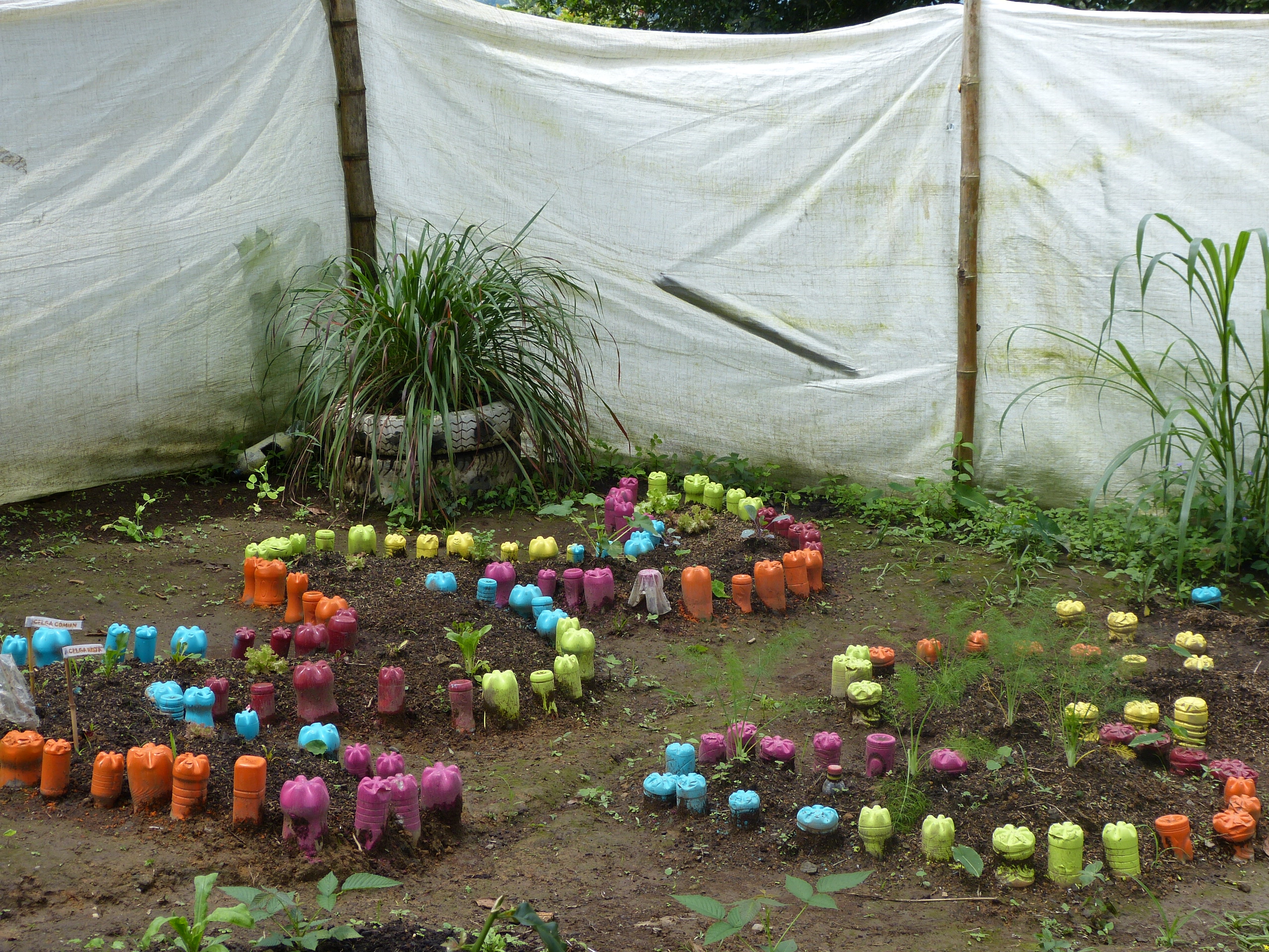 naturaleza, vida, planeta, futuro humano, cambio climático