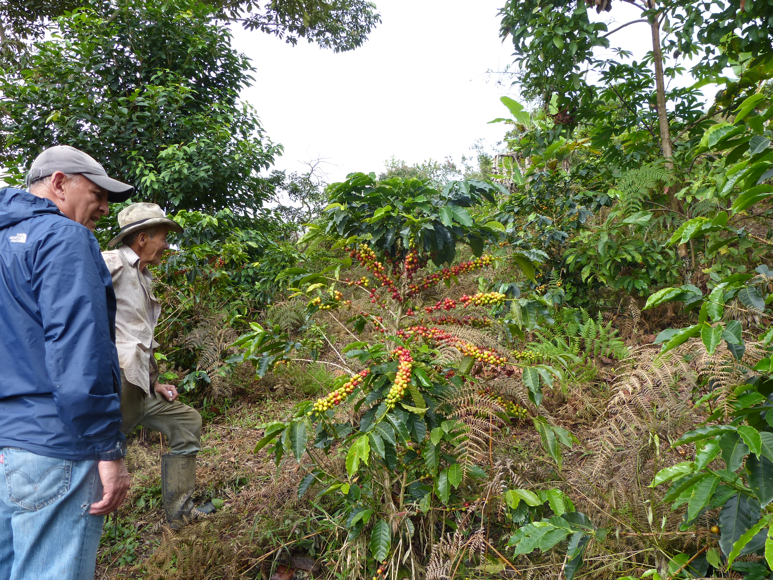 naturaleza, vida, planeta, futuro humano, cambio climático